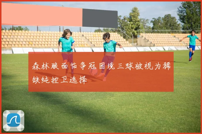 森林狼面临争冠困境三球被视为稀缺纯控卫选择
